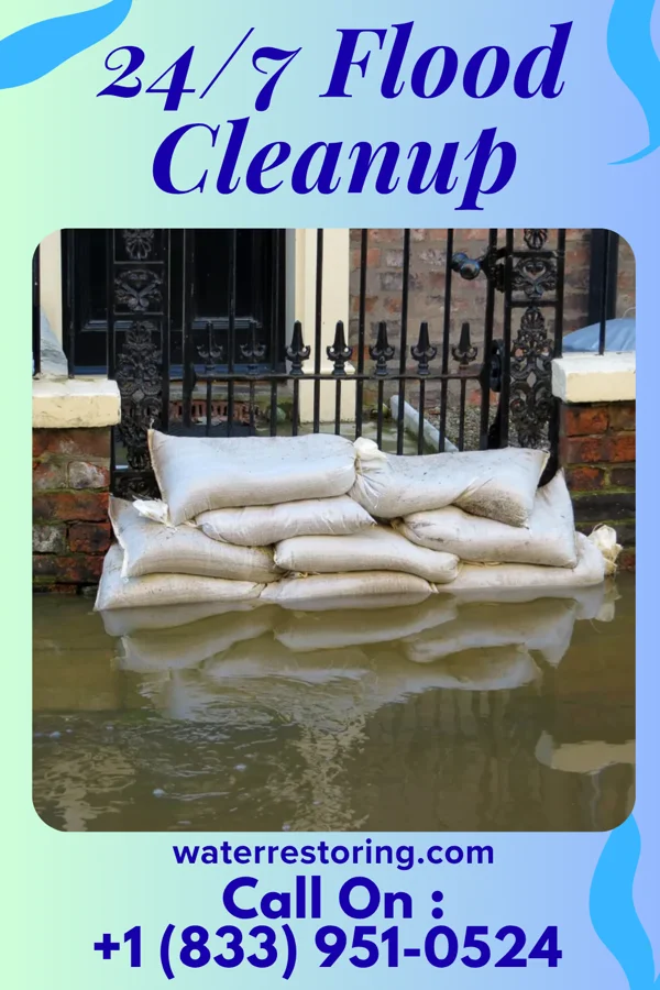 24/7 Flood Cleanup in Midway South, TX