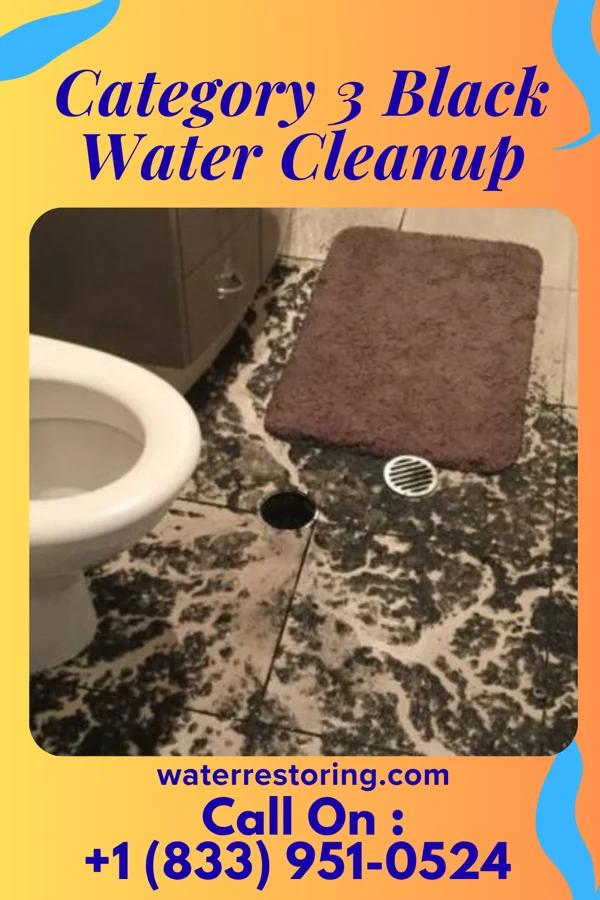 Category 3 Black Water Cleanup in Midway South, TX